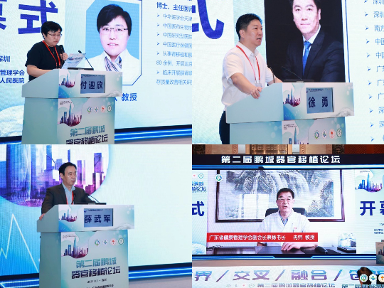 已编辑图片