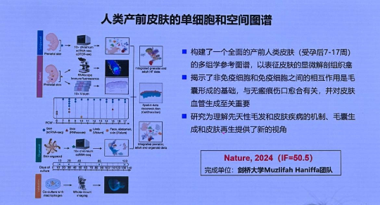 已编辑图片