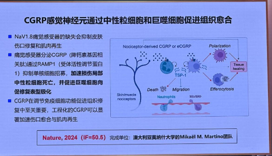 已编辑图片