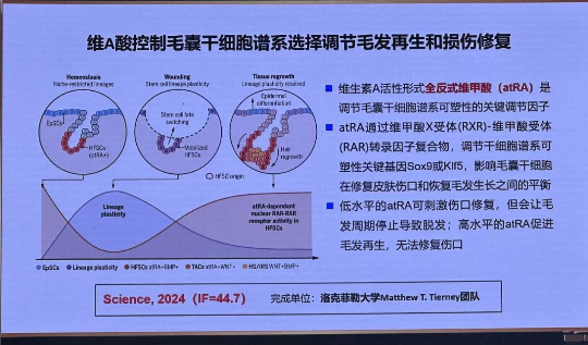 已编辑图片