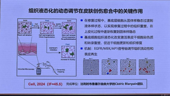 已编辑图片