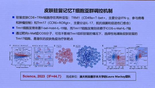 已编辑图片