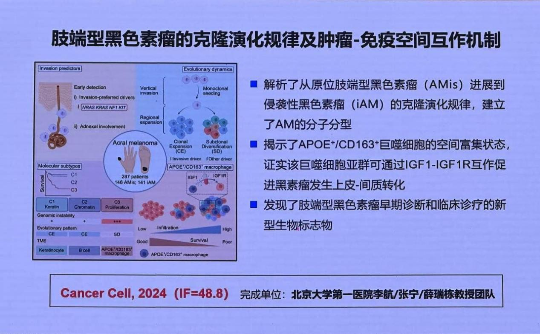 已编辑图片